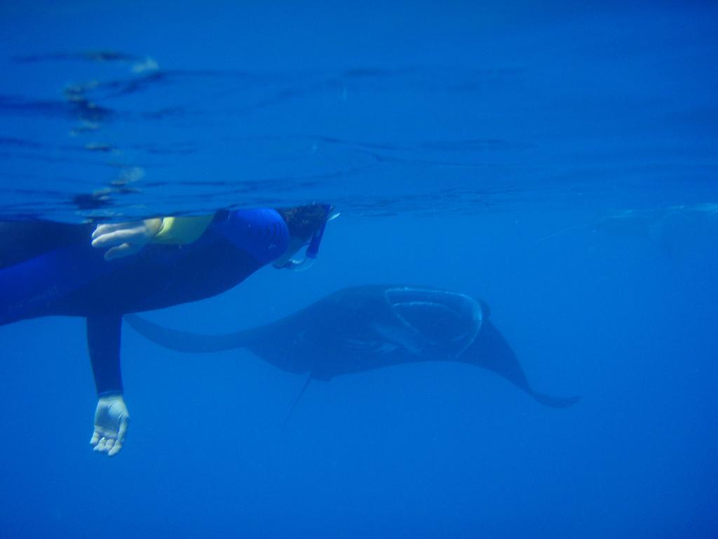 Mai Dive' Astrolabe Reef Resort Naqara Luaran gambar