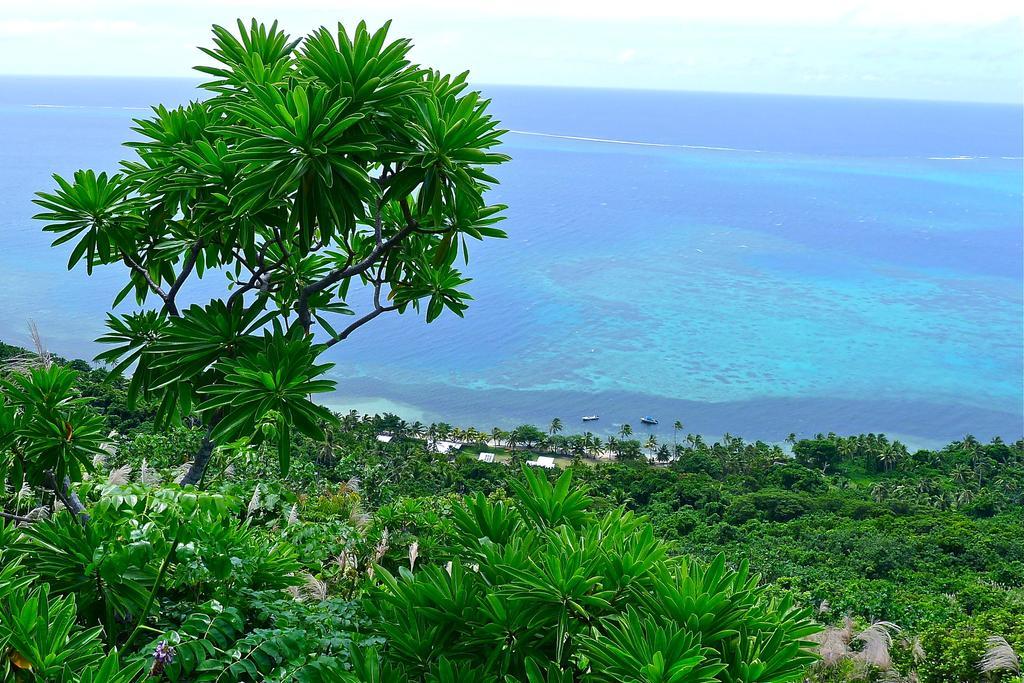 Mai Dive' Astrolabe Reef Resort Naqara Bilik gambar
