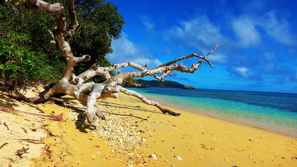 Mai Dive' Astrolabe Reef Resort Naqara Luaran gambar