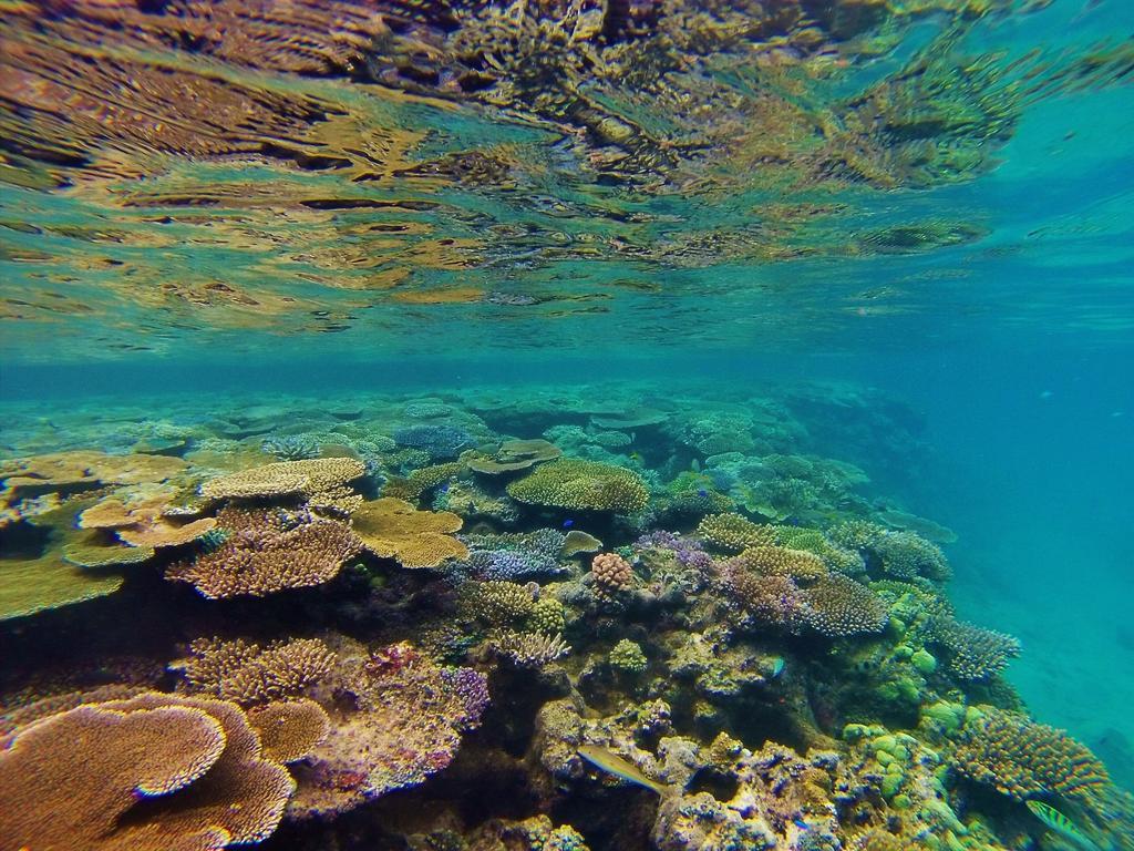 Mai Dive' Astrolabe Reef Resort Naqara Luaran gambar