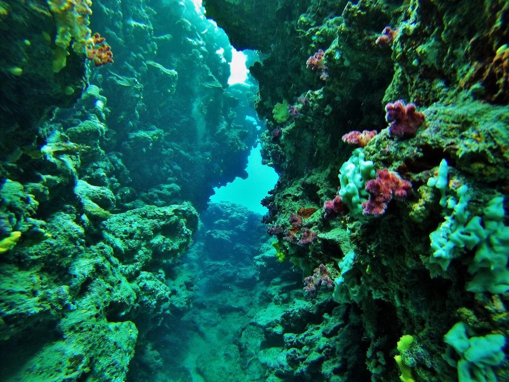 Mai Dive' Astrolabe Reef Resort Naqara Luaran gambar