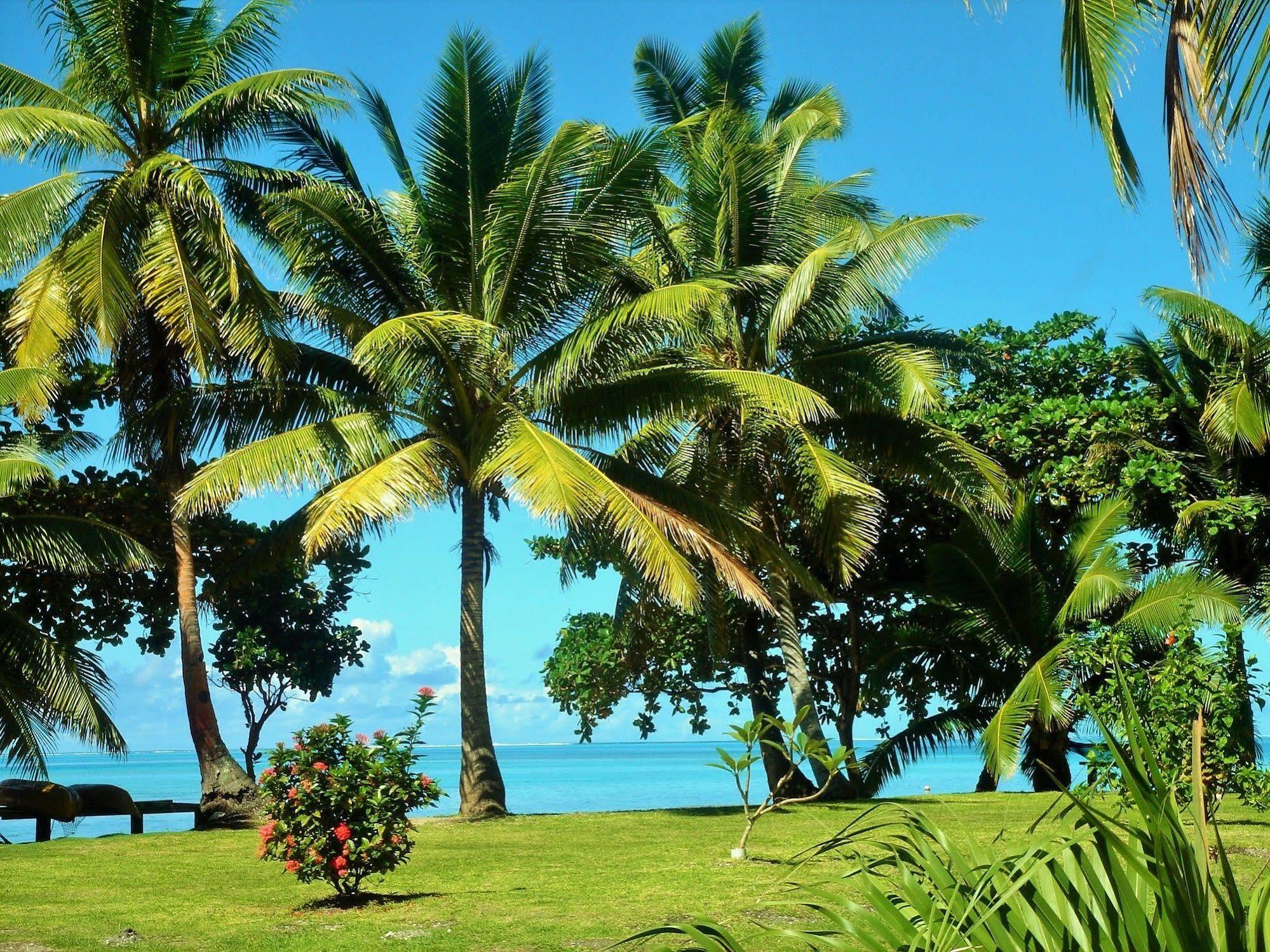 Mai Dive' Astrolabe Reef Resort Naqara Luaran gambar